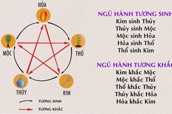 Niên mệnh năm sinh là gì? Cách tính cung mệnh theo năm sinh